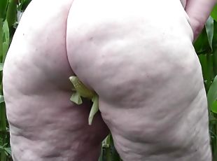 Fatty in a corn field fucks a veggie into her old pussy