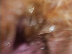 Close-Up I Sneezed At The End Of My Quick Morning Piss With Small F...