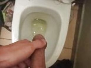 circumcised dick pissing in the toilet