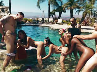 Passionate orgy in the pool
